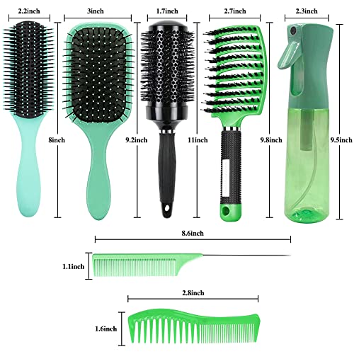 ?Daisy Fuentes Brush: Stylish Hair Care Essential? - Image 7