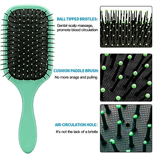 ?Daisy Fuentes Brush: Stylish Hair Care Essential? - Image 3