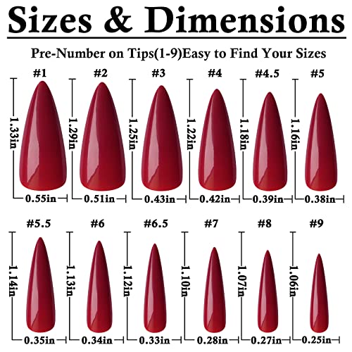 Acrylic Nails with Colored Tips - Image 2