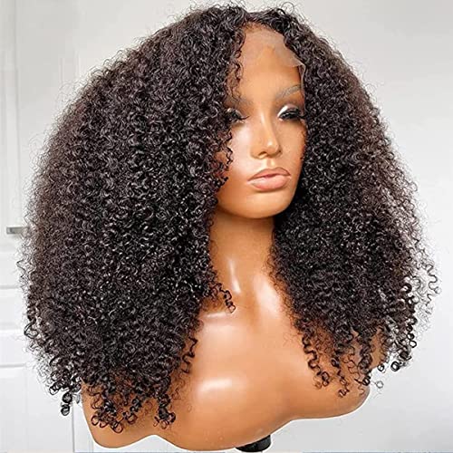 Affordable Curly Human Hair Wig