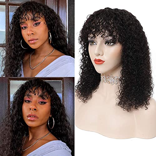 Affordable Human Hair Wig at Dollar Mania