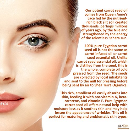 Argan Oil Hair Moisturizer by Lusti Naturals - Image 4