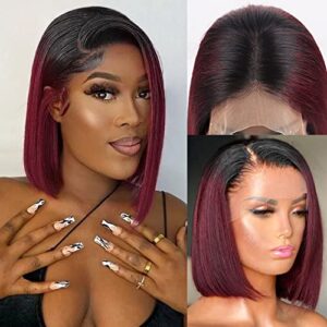 Birmingham Alabama Human Hair Wig