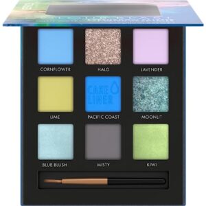 Blue & Red Eyeshadow Palette