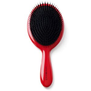 Boar and Nylon Hair Brush ? Dual Bristle Design