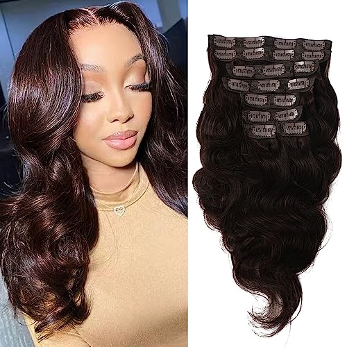Brown Clip In Human Hair Extension