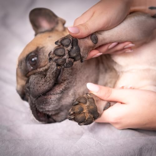 Canine leave-in conditioner for healthy, shiny fur. - Image 5