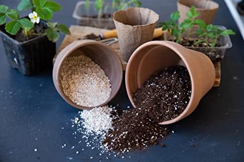 ?Diatomaceous Earth Hair Conditioner: Natural and Nourishing? - Image 7