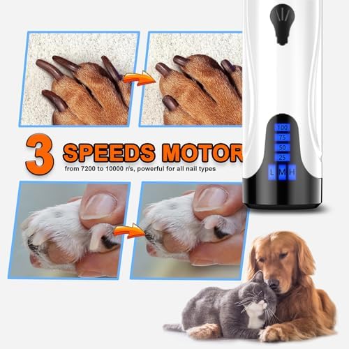 Dog nail clippers for veterinary use. - Image 4