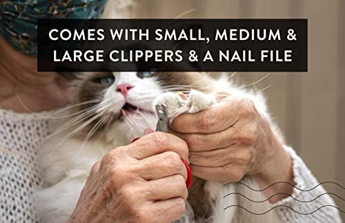 ?Dog Nail Clippers: Scissor vs Guillotine? - Image 4