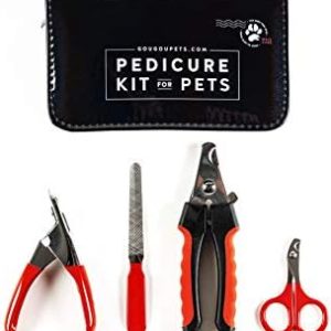?Dog Nail Clippers: Scissor vs Guillotine?