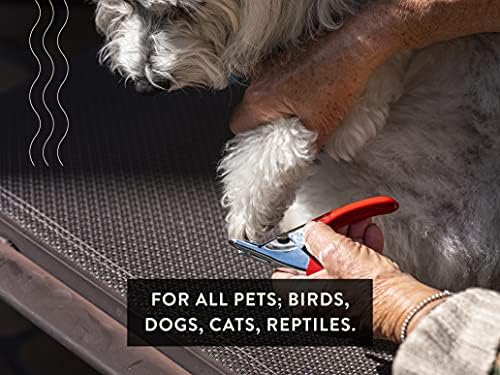 ?Dog Nail Clippers: Scissor vs Guillotine? - Image 5