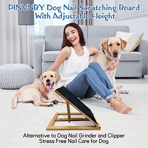 ?Dog Nail Clippers vs File: Which to Choose?? - Image 7