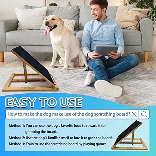 ?Dog Nail Clippers vs File: Which to Choose?? - Image 6