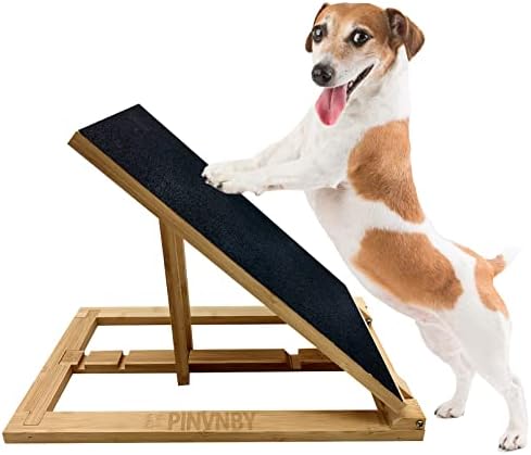 ?Dog Nail Clippers vs File: Which to Choose??