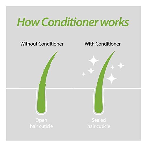 Dr Oz Natural Hair Conditioner: DIY Recipe & Benefits - Image 3