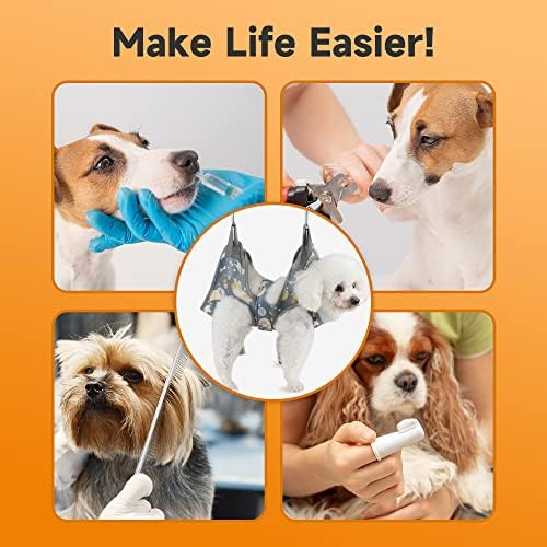 Dramatic Dog Nail Clippers Mishap - Image 7
