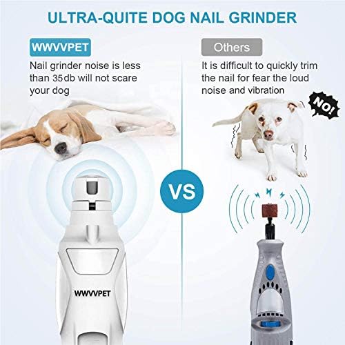 Fearful dog avoids nail clippers. - Image 3