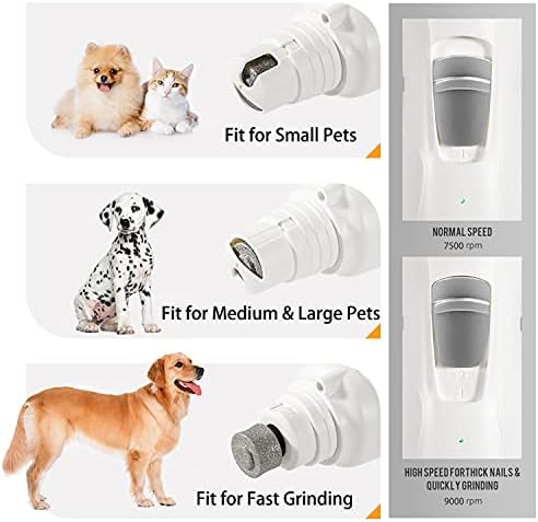 Fearful dog avoids nail clippers. - Image 5