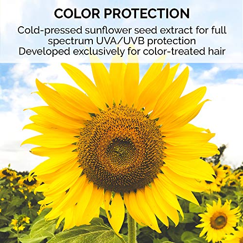 Frizz-fighting shampoo for color-treated hair. - Image 3