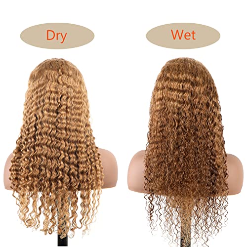 Houston?s Top Human Hair Wig Provider - Image 5