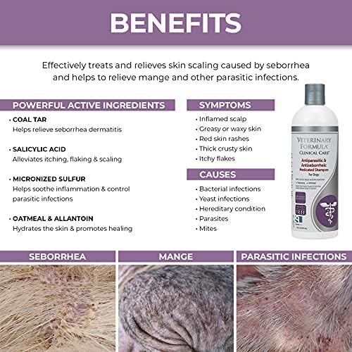 Katclin Dandruff Shampoo 250ml Gentle Relief for Itchy Scalp - Image 7