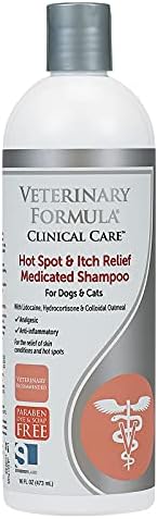 Katclin Dandruff Shampoo 250ml Gentle Relief for Itchy Scalp - Image 2