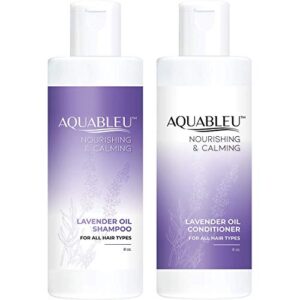 ?Lavyl 2-in-1 Hair Care?