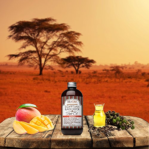 Nourishing Mango Seed Oil 100ml for Healthy Hair Growth and Shine - Image 3