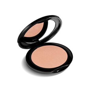 Mineral Powder Foundation at Drugstore