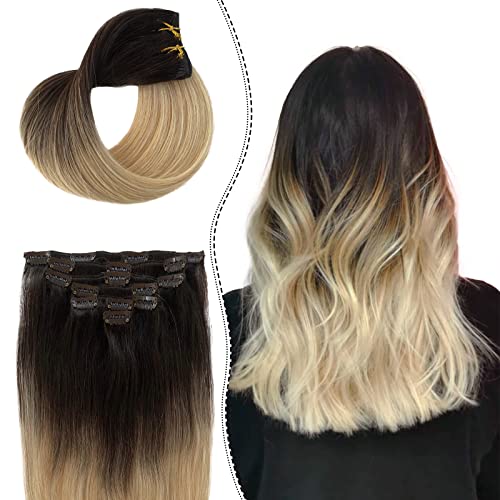 Ombre Clip In Human Hair Extension