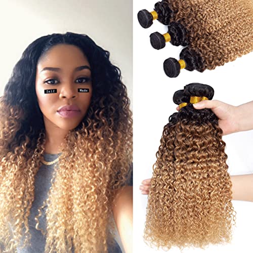 ?Ombre Curly Human Hair?