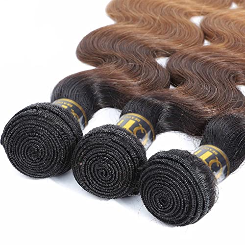 Ombre Human Hair Weave: Shorter Version - Image 4