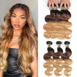 Ombre Human Hair Weave: Shorter Version