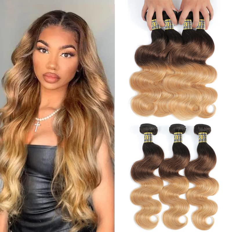 Ombre Human Hair Weave: Shorter Version