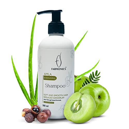 Gentle Paraben-Free Dandruff Shampoo with Natural Ingredients 16 oz