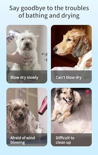 Pet Dryer for Fast and Efficient Drying of Dog Fur with High Power Capacity - Image 6