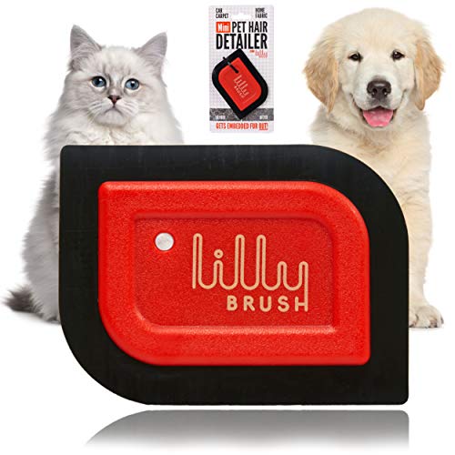 Pet hair brush for car detailing.