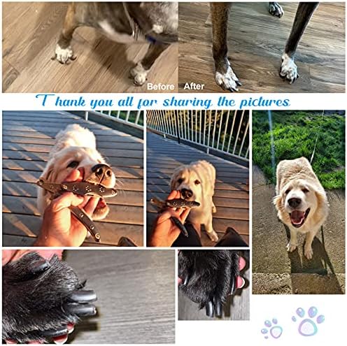?Professional Dog Nail Clippers by Veterinarian? - Image 2