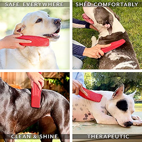 Short Dog Hair Brush for Short Hair - Image 2