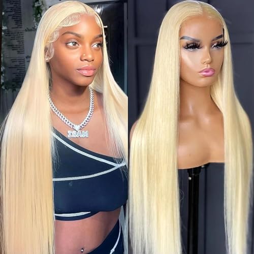 22 Inch Human Hair Wig