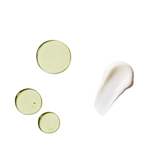 ?Oily Hair Shampoo & Conditioner? - Image 6