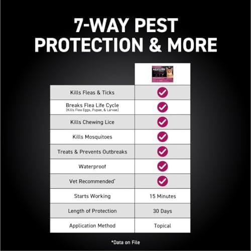 Fleas from Cats Can Infest Human Hair - Image 4