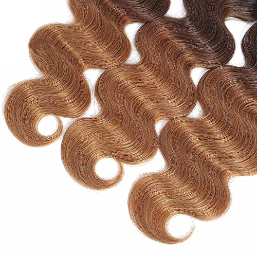 Ombre 100% Human Hair Extensions - Image 6