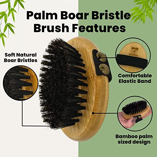 Boxer dog brush for grooming and shedding control. - Image 4