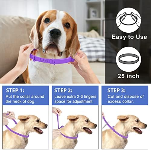 Fleas from dogs can infest human hair. - Image 4