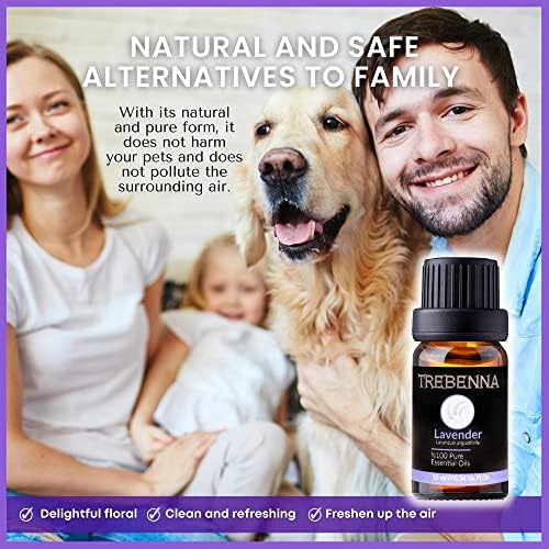 DIY Essential Oil Hair Spray Recipe - 8 oz Bottle for Healthier Hair - Image 7