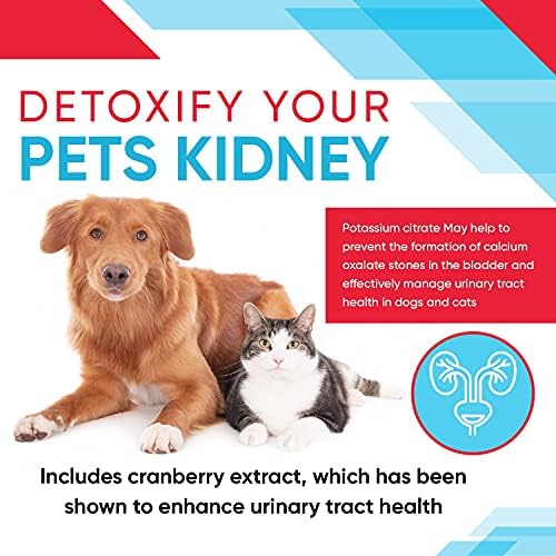 Cat ingested human hair, seek veterinary care. - Image 7