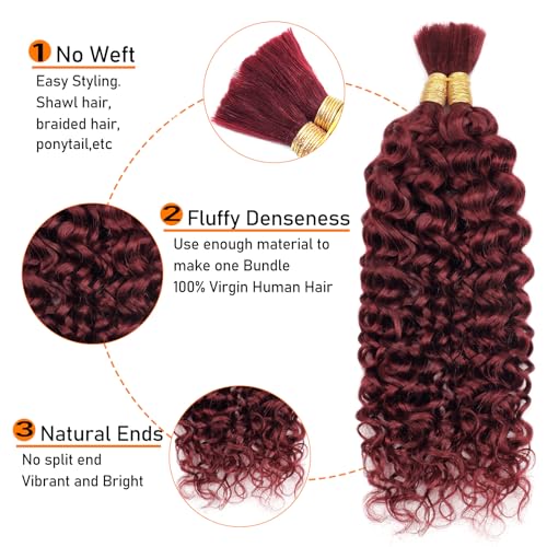 Human Hair Characteristics: Shorter Version - Image 3