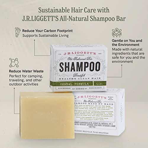 Sulfate-Free Natural Hair Shampoo for All Hair Types, 16 oz Bottle - Image 7